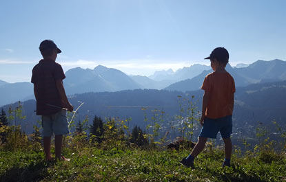 Chalet Elise des Alpes