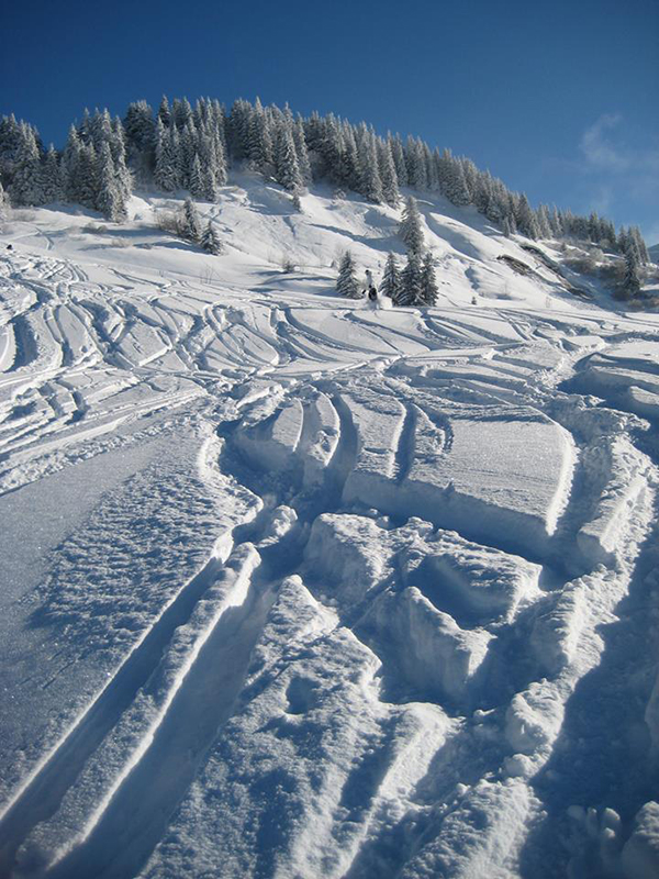 Fresh Snow in Les Gets