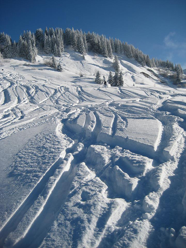 Fresh Snow in Les Gets