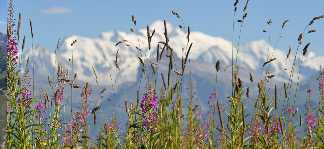 Mont Blanc Mountain